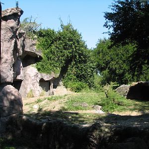 Edge of Africa - African Lion or Spotted Hyena Exhibit