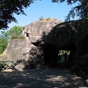 Edge of Africa - African Lion or Spotted Hyena Exhibits - Viewing Cave