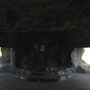 Edge of Africa - African Lion or Spotted Hyena Exhibits - Viewing Cave Inte