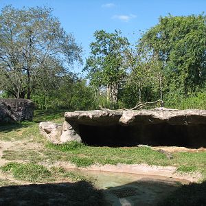 Edge of Africa - Spotted Hyena Exhibit