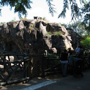 Edge of Africa - Spotted Hyena Exhibit - Viewing Area