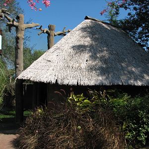 Edge of Africa - Spotted Hyena Exhibit - Viewing Hut Exterior