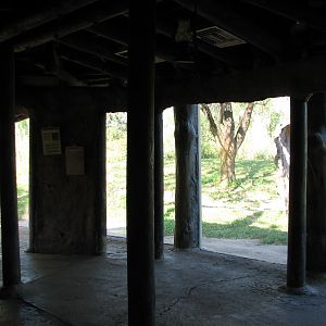 Edge of Africa - Spotted Hyena Exhibit - Viewing Hut Interior