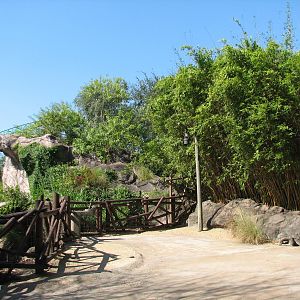 Edge of Africa - Nile Crocodile Exhibit - Viewing Area