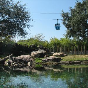 Edge of Africa - River Hippopotamus Exhibit