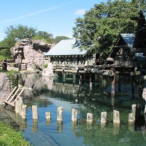 Edge of Africa - River Hippopotamus Exhibit