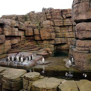 Construction of the new Eismeer at Hamburg