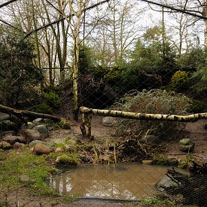 Snowy owl exhibit at Hamburg