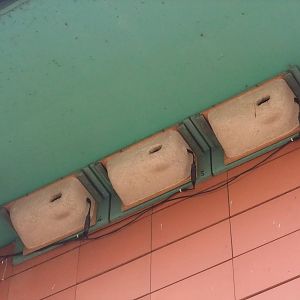 Swift Nestboxes at London, 16/11/11