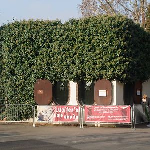 Lion Dens at London, 16/11/11