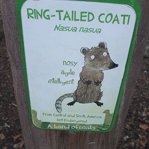 Signage Example at London, 16/11/11