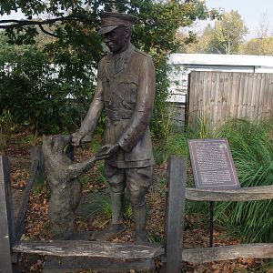 Winnie the Bear Statue at London, 16/11/11