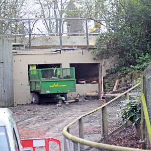 Tiger enclosure refurbishment