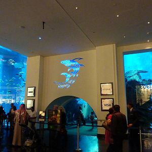 Dubai mall aquarium tunnel exit & ticket desks