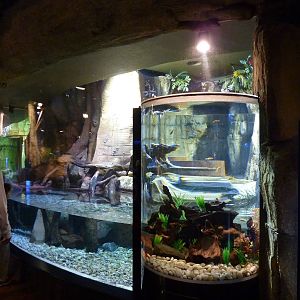 Otter enclosure