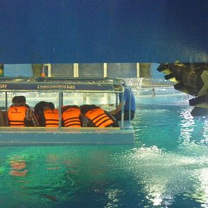 Glass-bottomed boat in main tank
