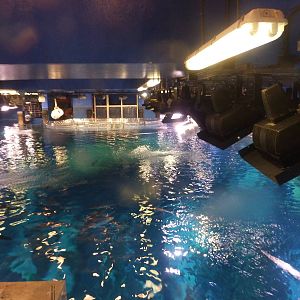 Main tank with quarantine area in the distance.