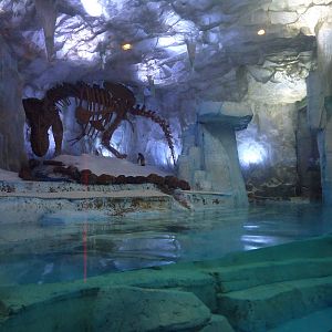 Gentoo penguin enclosure