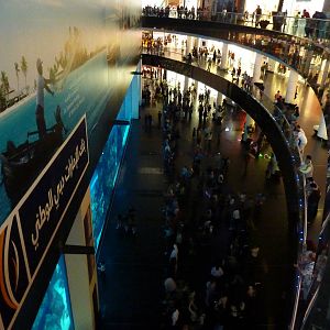 Looking down on main viewing area