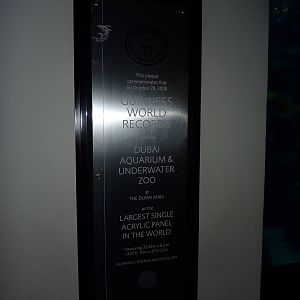 Guinness world record