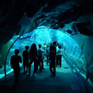 Underwater tunnel