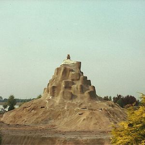 Baboon Island early 1980s