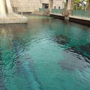 Aquaventure tank from above