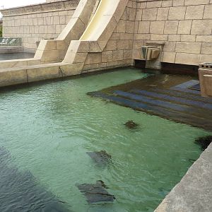 Aquaventure tank from above
