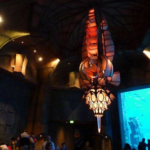 Ambassador lagoon viewing area