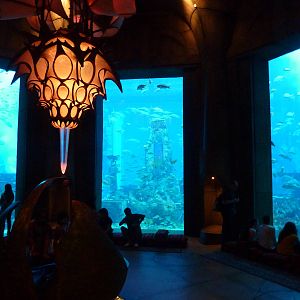 Ambassador lagoon viewing area