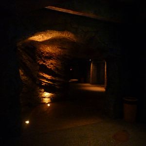 Atlantean cave theming