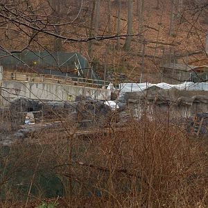 Sea Lion Exhibit Construction
