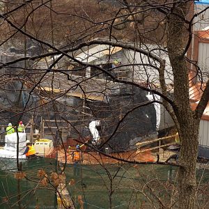Sea Lion Exhibit Construction