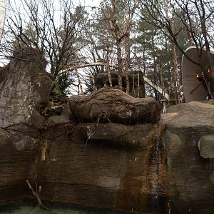 Inside the Bird Aviary
