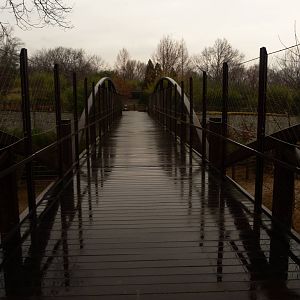 Elephant Trail Bridge
