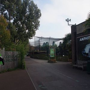 General View at London, 16/11/11