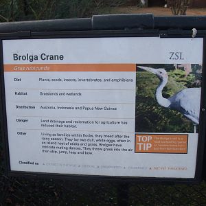 Signage Example at London, 16/11/11