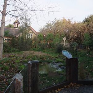 Giant Tortoise Paddock at London, 16/11/11