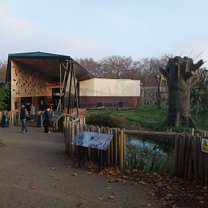 Gorilla Kingdom at London, 16/11/11