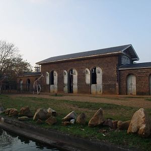 Giraffe House at London, 16/11/11