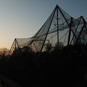 Snowdon Aviary at Dusk at London, 16/11/11