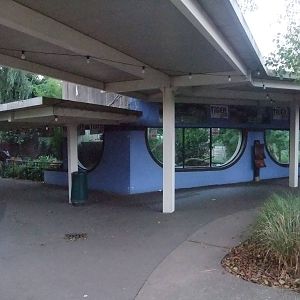 Sumatran Tiger Viewing Area at London, 16/11/11