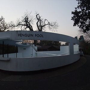 Lubetkin Penguin Pool at London, 16/11/11