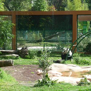 panda exhibit chapultepec zoo