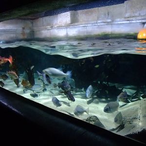 Habour Display at SLC London, 17/11/11