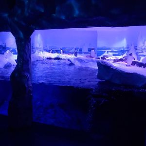 Penguin Exhibit at SLC London, 17/11/11