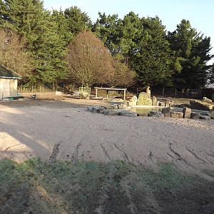 Future giant anteater enclosure at Blackpool Zoo 15/01/12