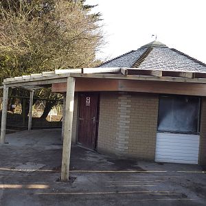 Giant anteater development at Blackpool Zoo 15/01/12