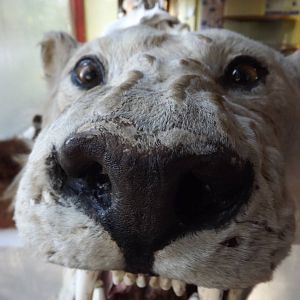Education classroom at Blackpool Zoo 15/01/12