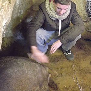 Aardvark experience at Blackpool Zoo 15/01/12